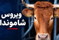 ویروس شاموندا